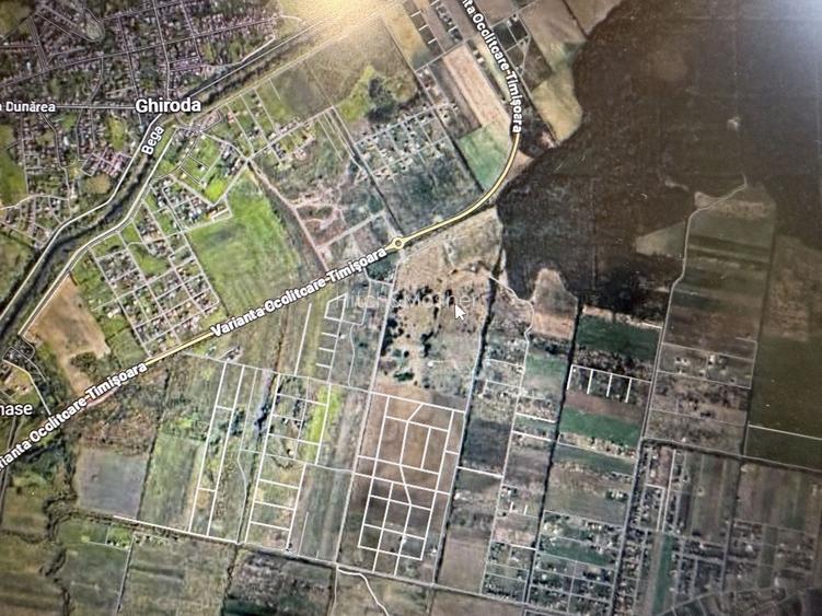 Vând teren intravilan Moșnița Nouă - 3