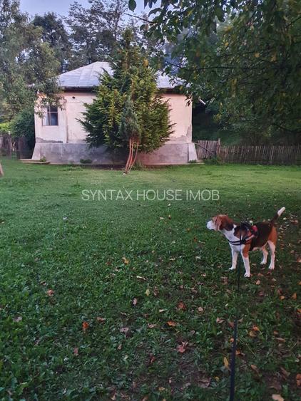 Puciosa Moreni Valea Lunga Sat Izvoru 20000mp teren de vanzare - 12