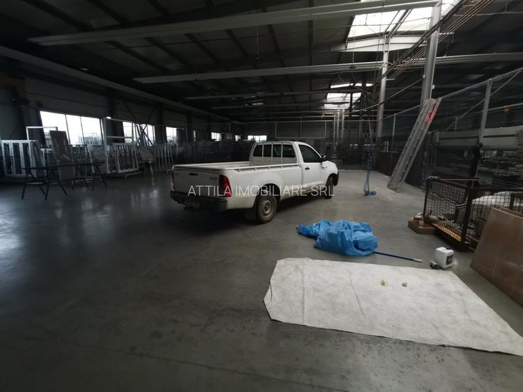 Hala Lugojului 1800 euro+TVA - 6