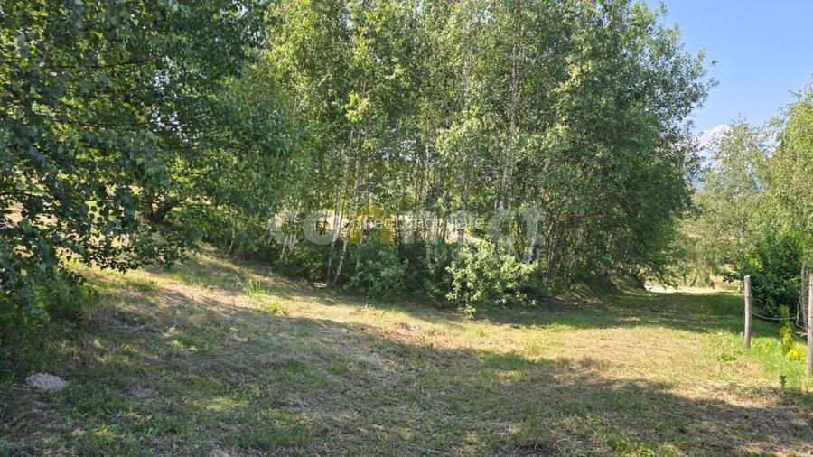De vânzare teren superb în Ciurila ~ 5000 mp de liniște, verdeață și potențial - 4