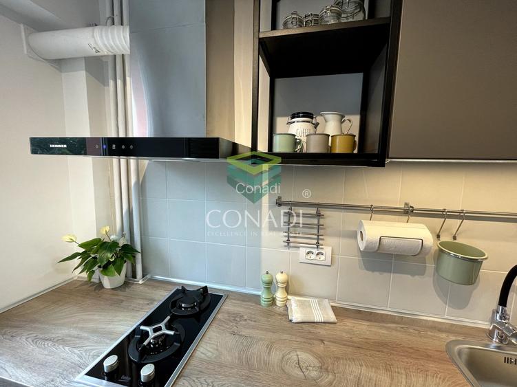 Garsoniera renovata modern str Nada Florilor - Teiul Domnei - 36