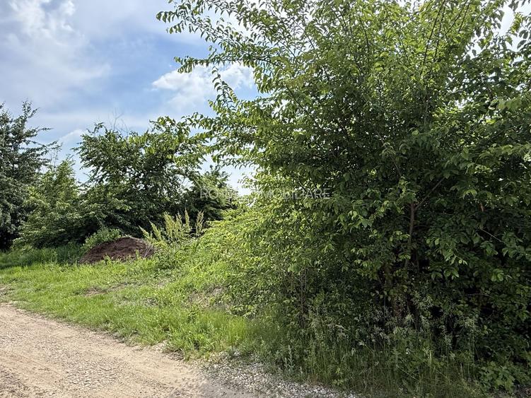 Teren intravilan 498,02 mp langa pădure , strada privata Corbeanca - 15