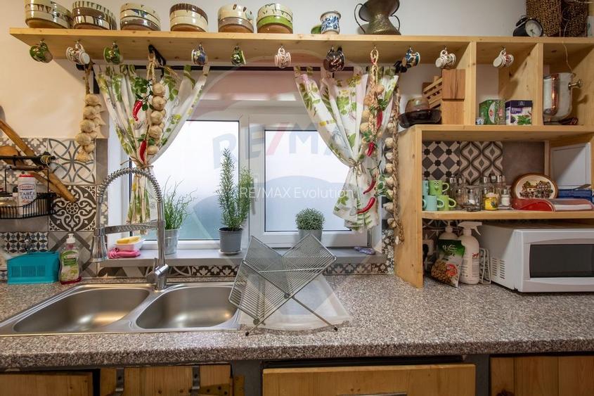 Cabana la Flo, 8 cam,P + M, teren 888 mp oportunitate de investitie ! - 12