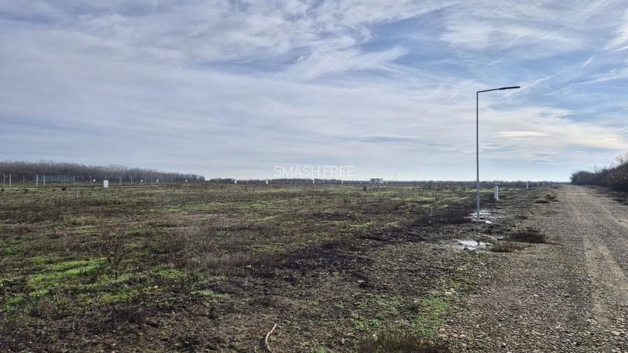 Loturi de teren 638 mp - curent tras la teren - Crevedia - 5