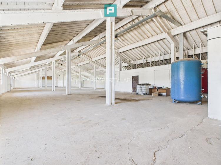 Hale 1800 mp fiecare – acces autostradă, Teiu, HD - 6