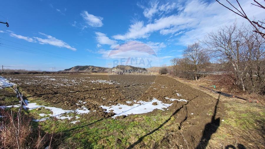 Teren industrial logistic de vanzare 15.938 mp Câmpia Turzii Henkel - 2