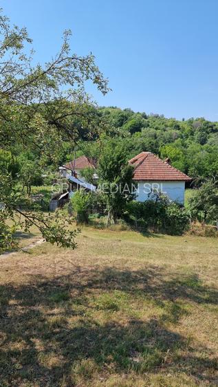 Casă cu teren 3800 mp,situată in com. Berislăvesti - 3