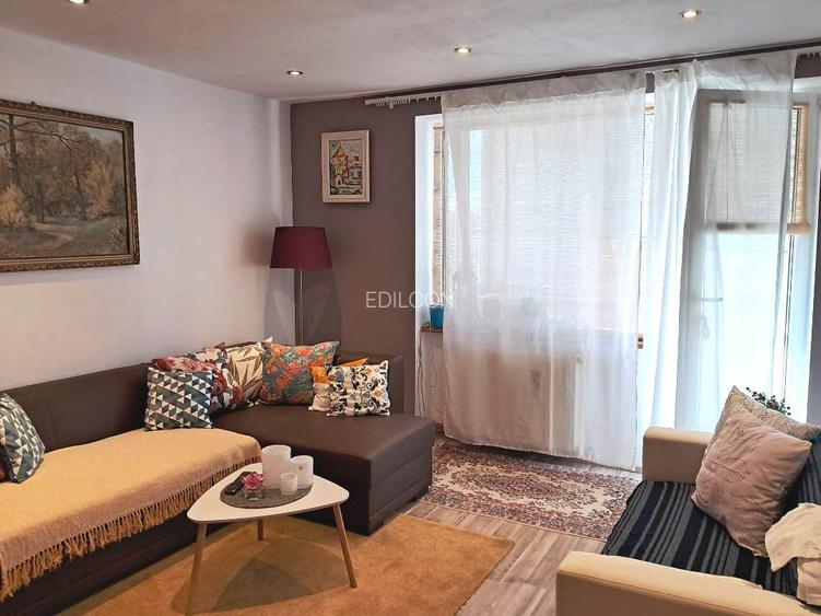 Apartament cu 2 camere zona Terezian - 2