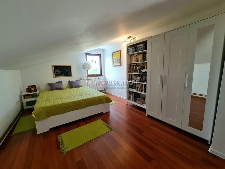 Vila + Afacere 15.000mp Clinceni - 18