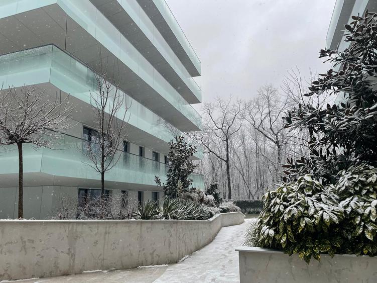 5f9d6706-1c81-480b-afd1-f521f6f93daa - 8