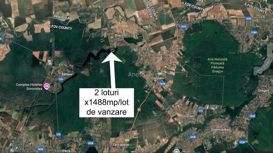 Teren cu deschidere la lac, langa padurea Scrovistea, 2 loturi - 2