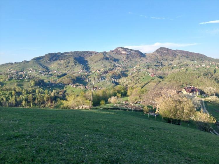 Teren intravilan panoramic în Peștera, Moieciu - 11048 mp - 4