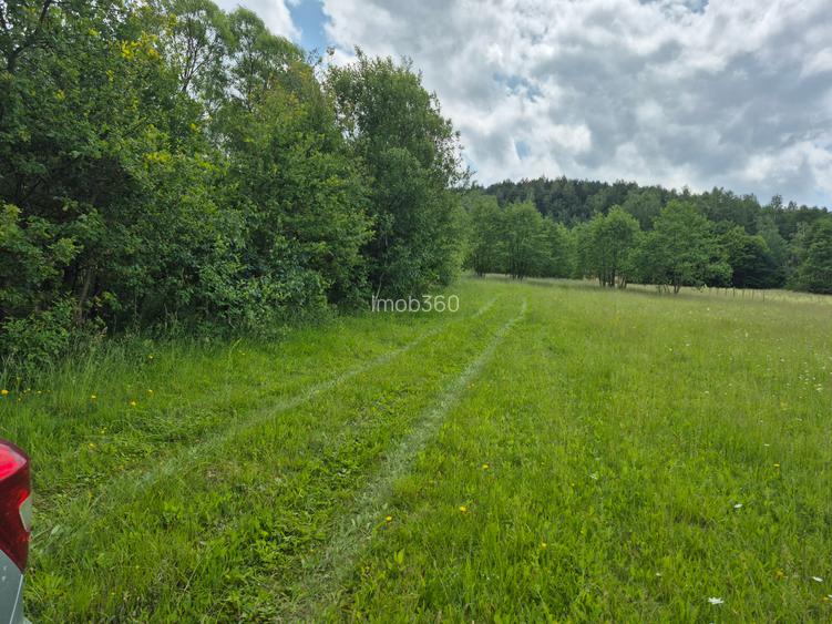 Casute vacanta cu teren 5600m2 - 3