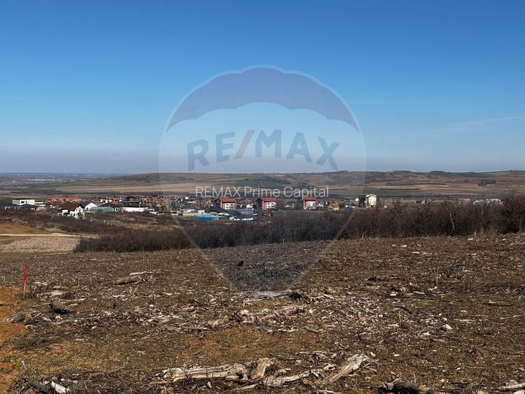 Teren de vânzare – Paleu, județul Bihor | 3 parcele a câte 618 mp - 7