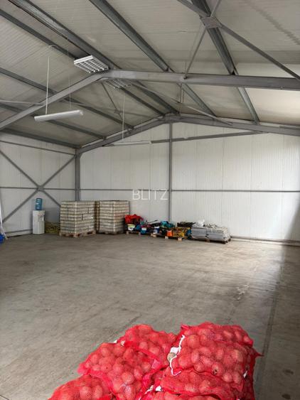 Spatiu comercial 280 mp + 700 mp curte, Filiasi  - 8