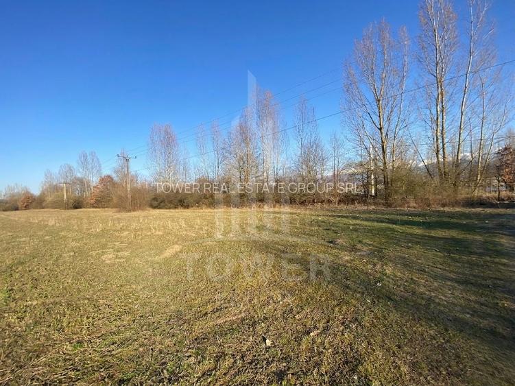 Teren de 7.500 mp de vânzare în Bradu, Avrig-COMISION 0% – lângă râul Olt. - 8