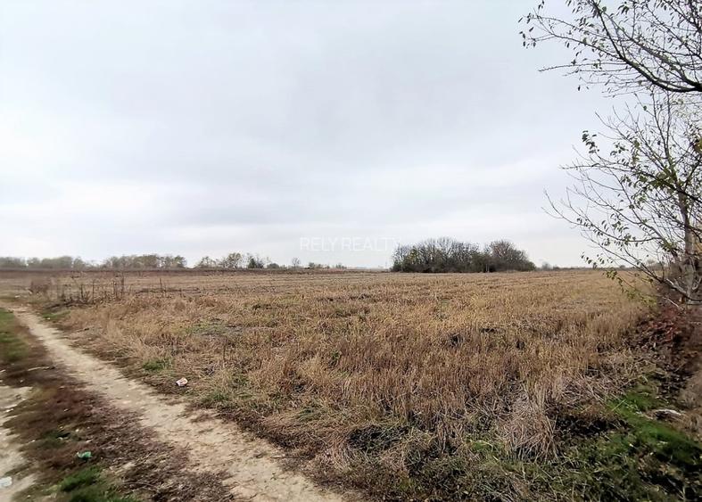 Vanzare teren intravilan, Bolintin Vale, 5.000 mp, 20 EUR  mp, comision 0% - 8