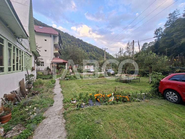 Spatiu de vanzare in Valea Macesului judel Valcea iesire la Lotru - 44