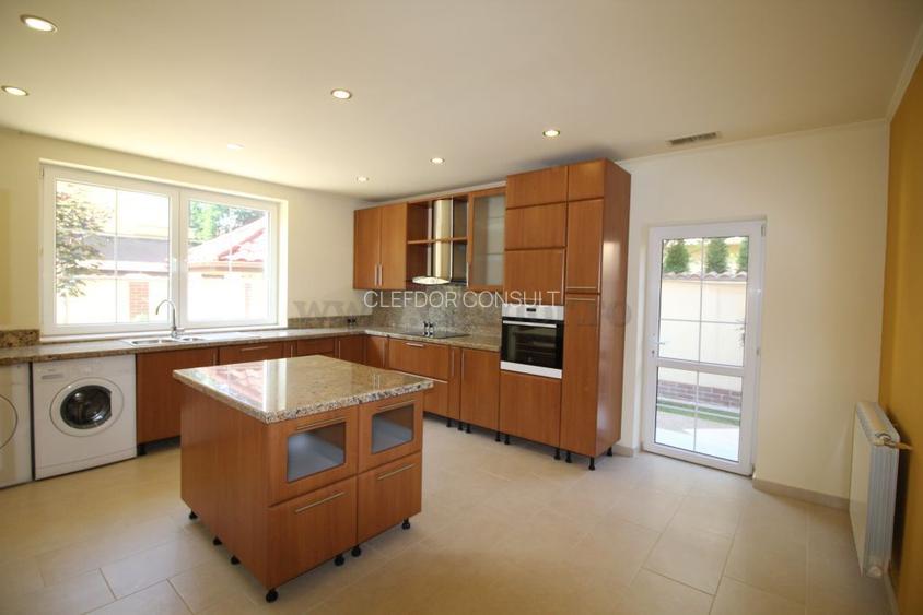 Vila Individuala de Inchiriat in Zona Iancu Nicolae - 4