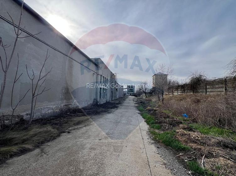 Spațiu industrial vinificatie Dobrinesti - 8