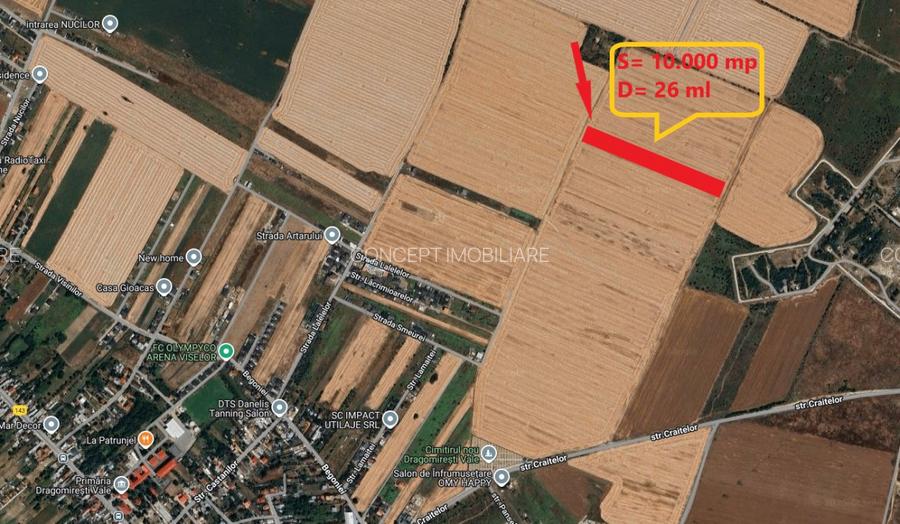 Teren 10.000 mp - Dragomiresti Vale, Ilfov - 2