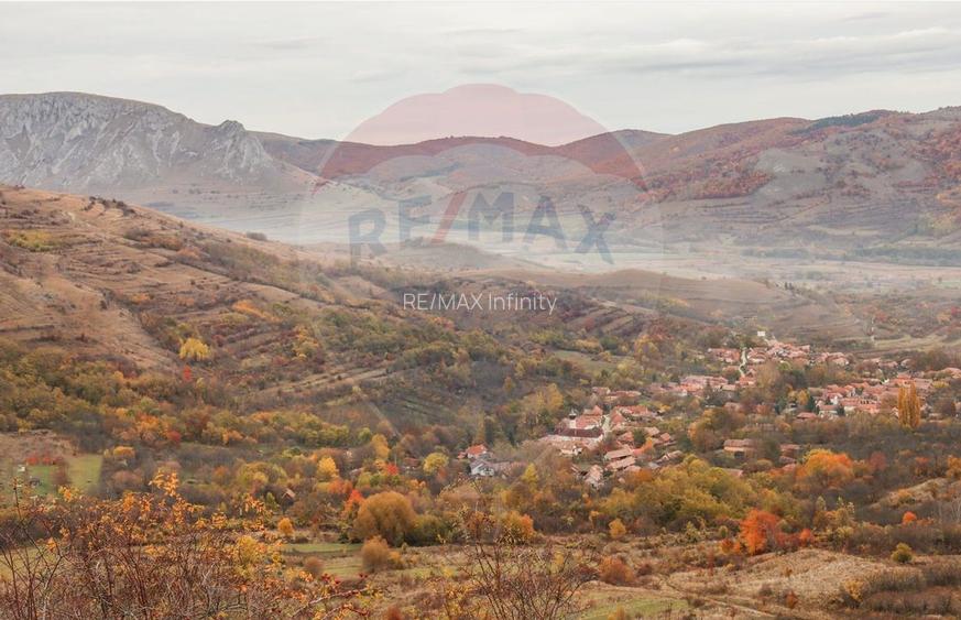 Casă din piatră la poalele Bedeleului – Izvoarele, Alba - 11