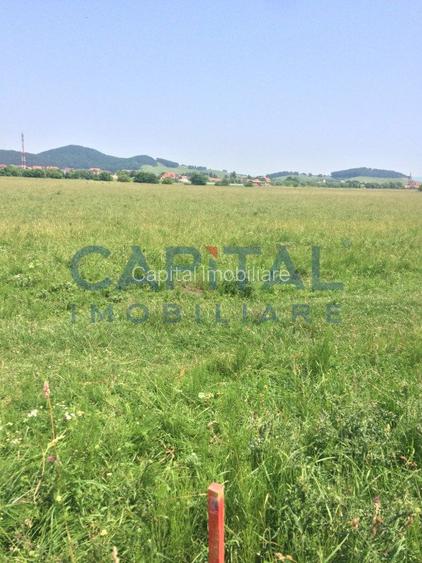 Teren de vanzare extravilan, Sanpetru - 2