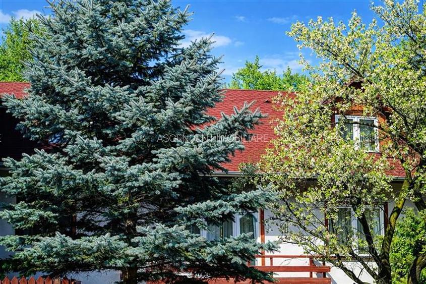 In Vintage style, cu acces auto in curte proprie,  zona Star  - Centrul Istoric, - 3