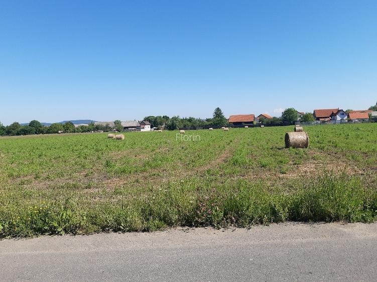 Vand teren intravilan construibil utilitati drum asfalt central Lunca Calnicului - 12