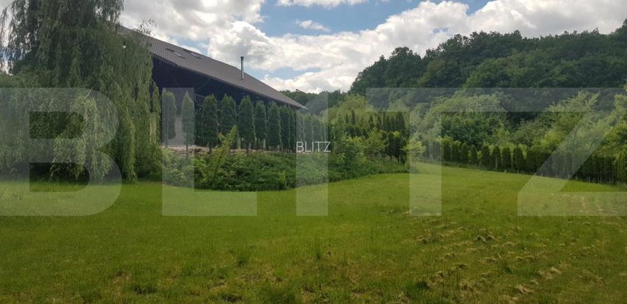 Investitie ! Casa de vacanta 350 mp utili ,teren 3000 mp in Faget ! - 8