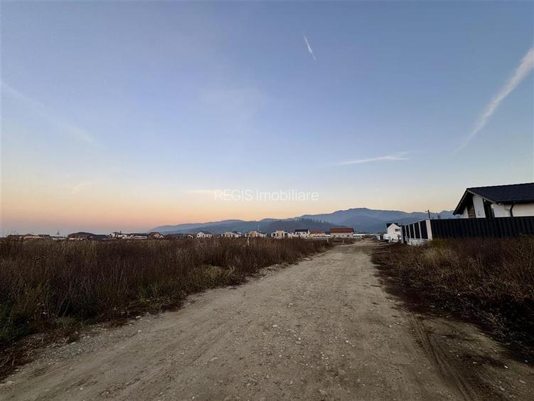 Teren intravilan granita Rasnov Cristian 890 mp - 2