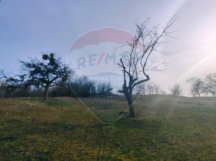 Teren intravilan generos 3.206 mp în Remecioara | Priveliște deosebită - 4