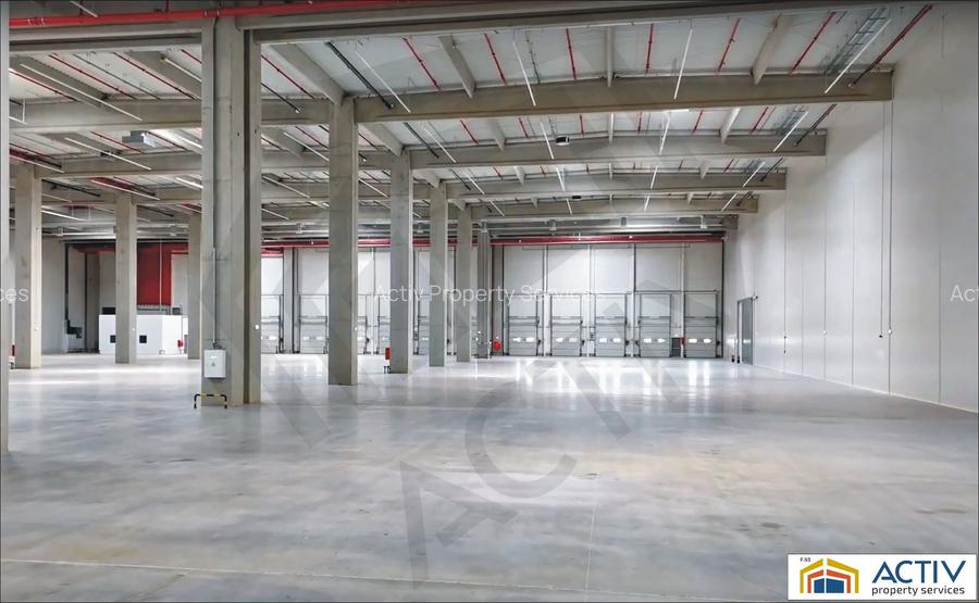 Hale de închiriat în Eli Park Bacău - 4