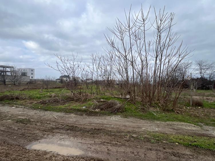 teren constructii (Palazu -Fost Comcereal)790 mp/22 deschidere, CASE IN JUR - 2