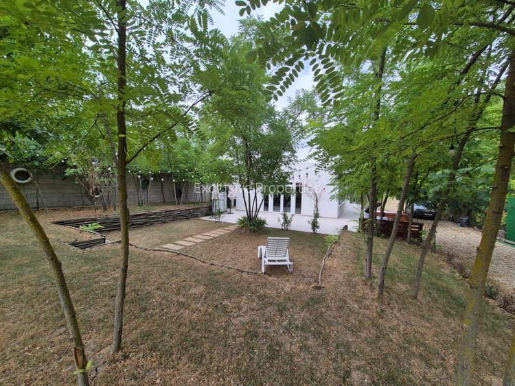 Casa de vacanta / spatiu comercial de vanzare – Frumusani - 12