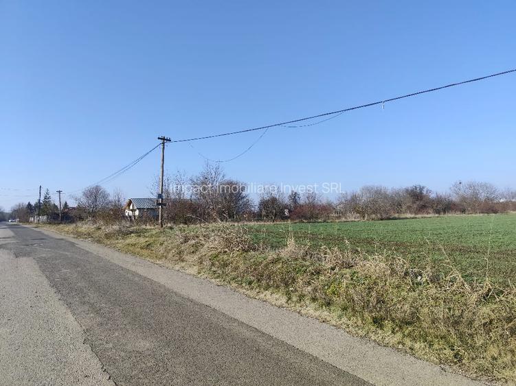 Gradistea/Zona padure - 3