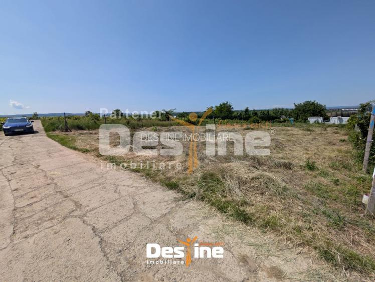 Bârnova - Teren Intravilan 974 Mp, utilitati, drum betonat - 5