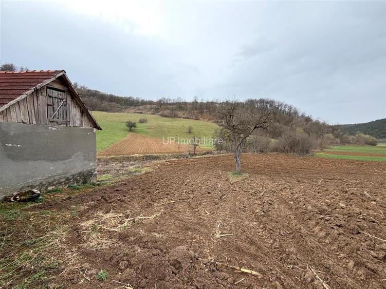 CASA CU TEREN 2846 MP | COMUNA ASTILEU | SAT CALATEA - 22