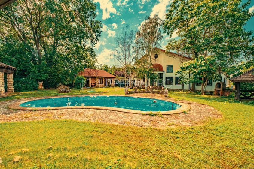 Casa superba cu vedere la lac in Izvorani – piscina, natura,si potential imens! - 16