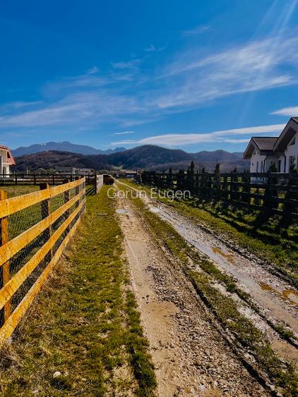 Teren intravilan Râșnov – Glejerie  5 parcele x 1000 mp  Capăt Str. Greierilor - 12