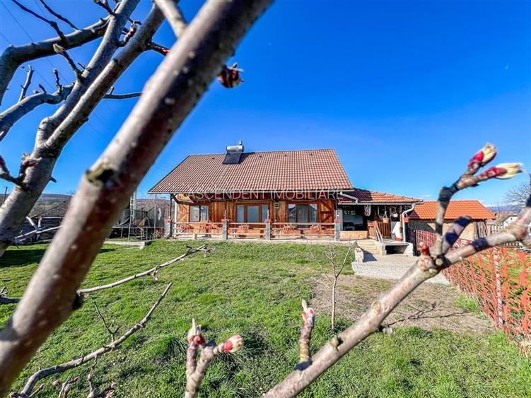 Tur Virtual & Film! Casa cocheta, constructie noua, peste 800mp teren - 20