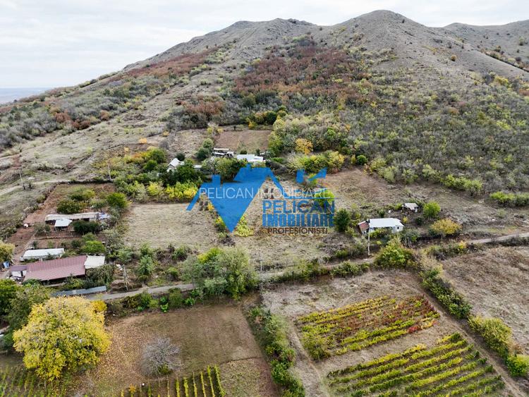 Teren intravilan NICULITEL, zona deosebita, 3044MP - 9