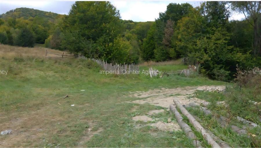 TEREN DE VANZARE IN SLANIC MOLDOVA - 4