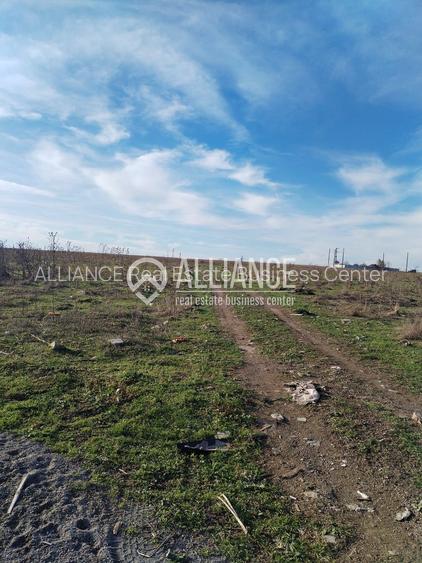 Techirghiol (cod04)-Teren 440 mp ideal investitie constructie casa - 3
