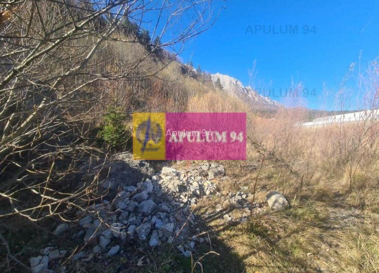 Teren intravilan de vânzare în Bușteni - Zona centrala - 2