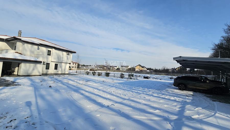 Cartier 20 VILE PREMIUM LANGA PENNY CORBEANCA - 25