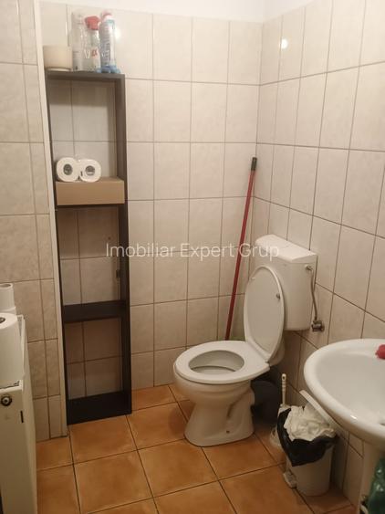 Spatiu comercial Titulescu Banu Manta 260 mp - 7