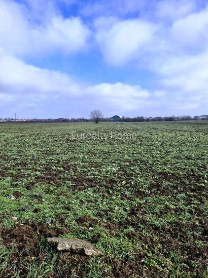 Buftea- Cartier Tineretului-  Magnoliei - 5