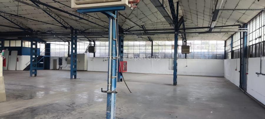 Hale + platforma betonata mp Giurgiului ( Zetari ) - 2