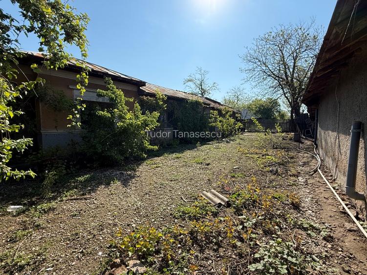 Teren intravilan 3070 mp + casă din cărămidă | Adunații Copăceni, Giurgiu - 6